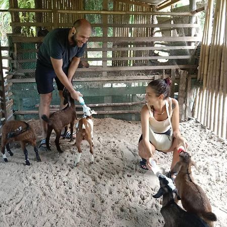 Yaoisland Resort And Farm Ko Yao Kültér fotó