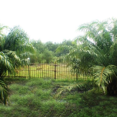 Yaoisland Resort And Farm Ko Yao Kültér fotó