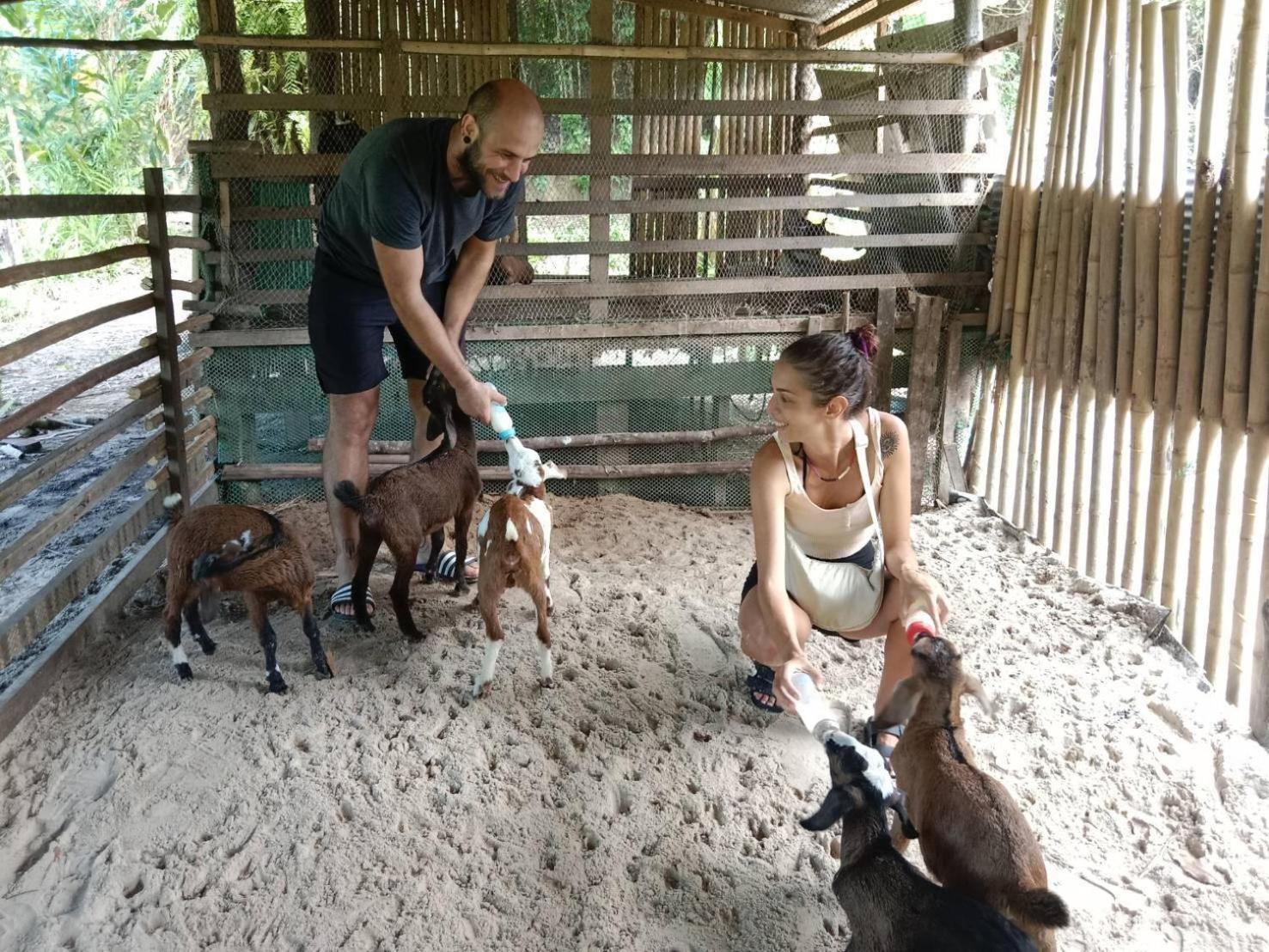 Yaoisland Resort And Farm Ko Yao Kültér fotó