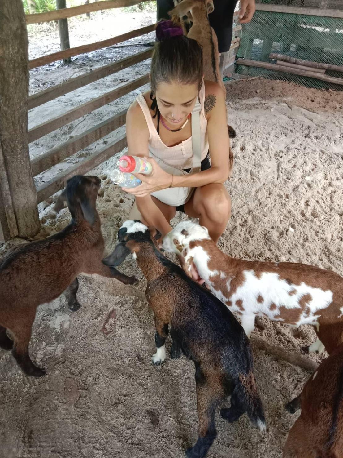 Yaoisland Resort And Farm Ko Yao Kültér fotó