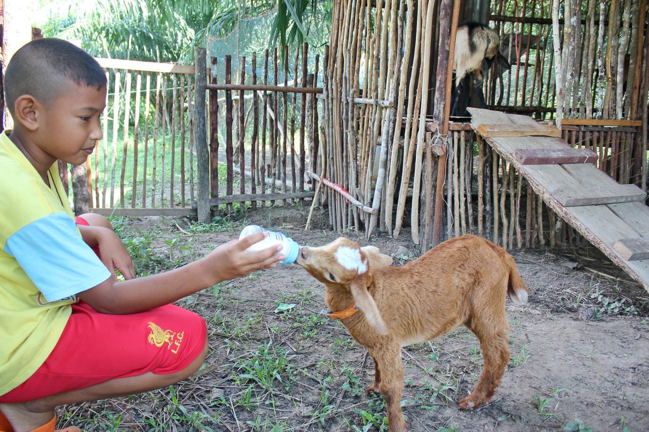 Yaoisland Resort And Farm Ko Yao Kültér fotó