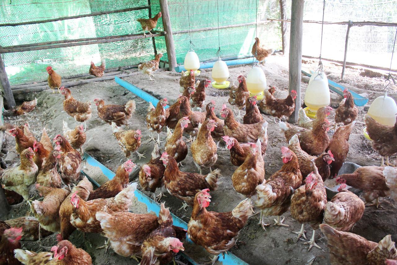 Yaoisland Resort And Farm Ko Yao Kültér fotó