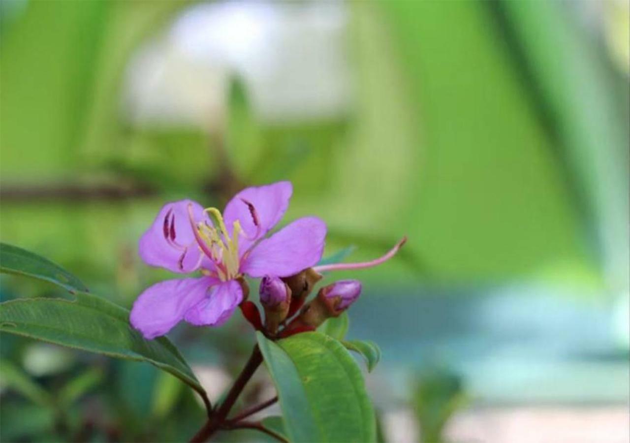 Yaoisland Resort And Farm Ko Yao Kültér fotó