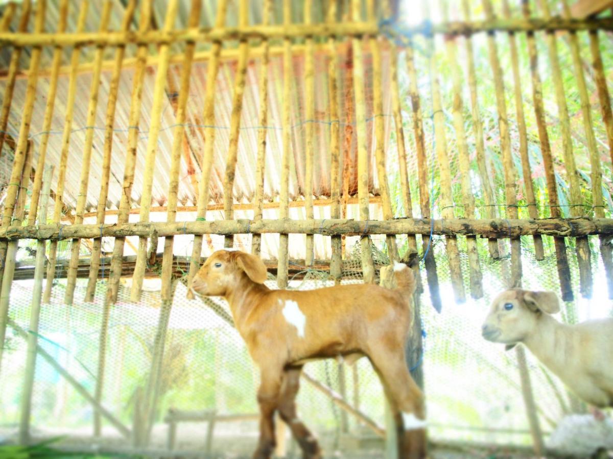 Yaoisland Resort And Farm Ko Yao Kültér fotó